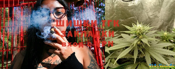 стаф Аркадак