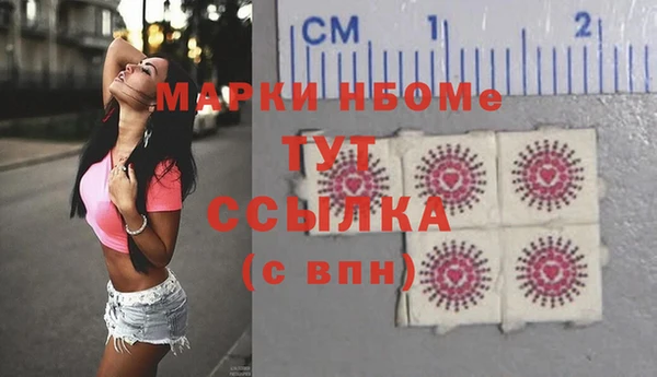 стаф Аркадак