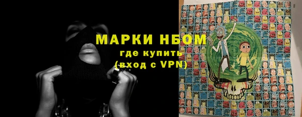 стаф Аркадак