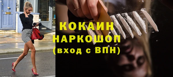 стаф Аркадак