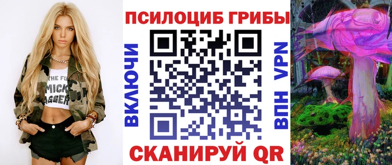 гидра как зайти  наркотики  Шелехов  Галлюциногенные грибы мицелий 